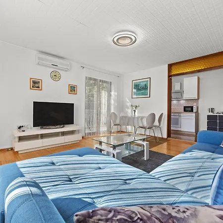 Knezovic * روفينج